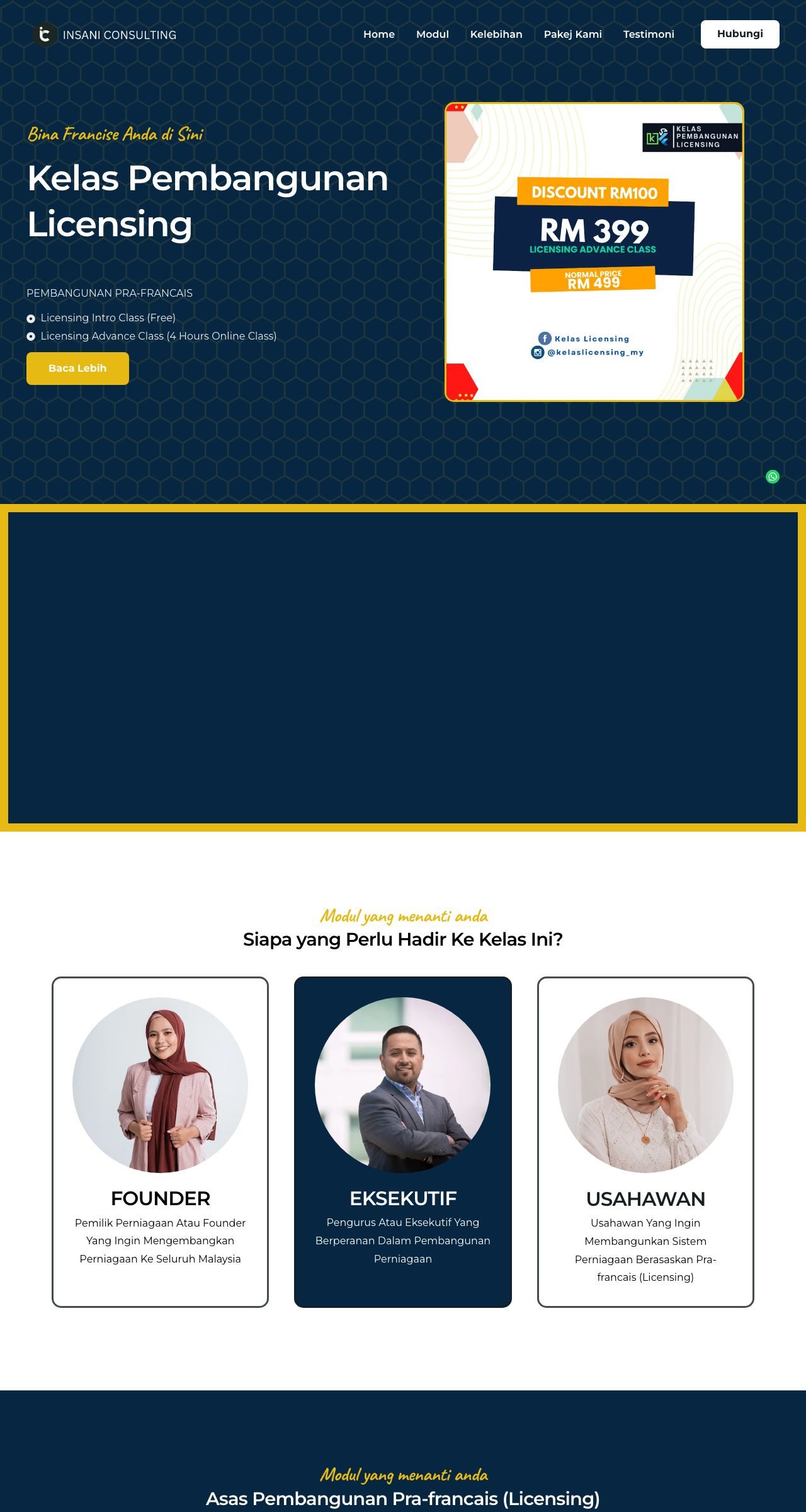 Insani Consulting website